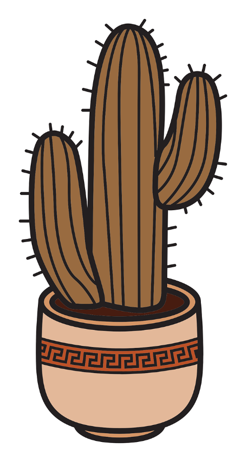 cactus-plant-pot-tall-home-decor-9440701