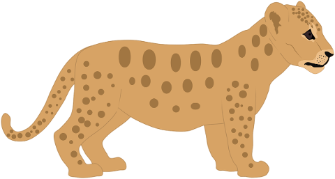 cub-lion-animal-africa-wildlife-5399577