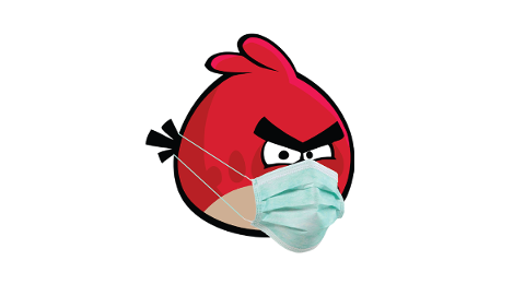 angry-bird-surgical-mask-coronavirus-5001987