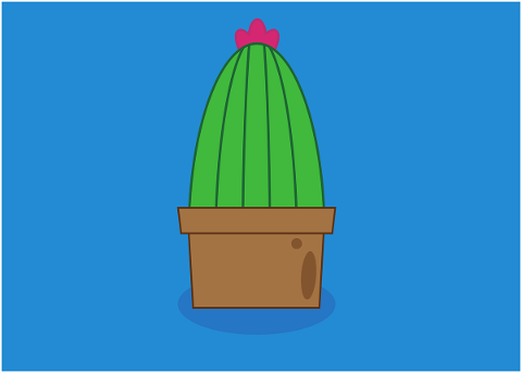 cactus-jack-travis-plant-simple-4664400