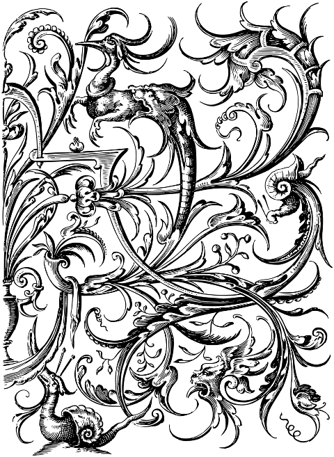 design-flourish-line-art-decorative-7210362