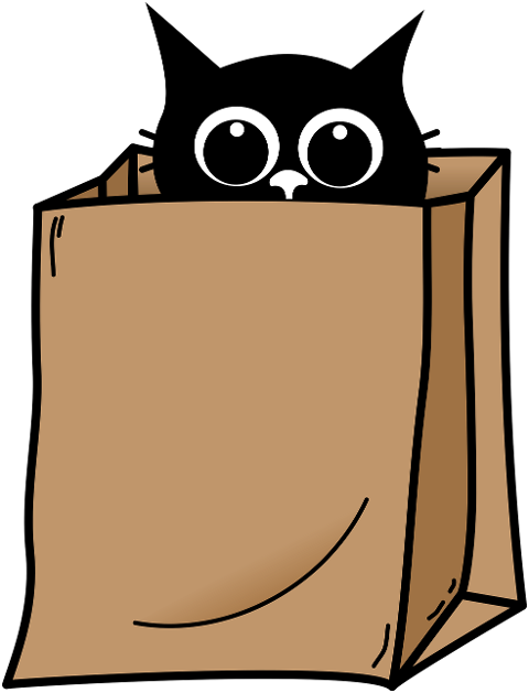 cat-kitten-black-cats-pet-animal-9636048