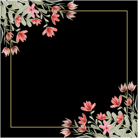 frame-border-decorative-frame-6552473