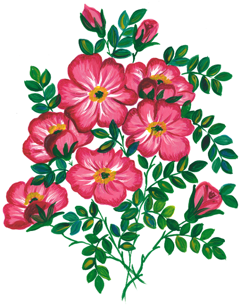 roses-flowers-watercolor-8486009