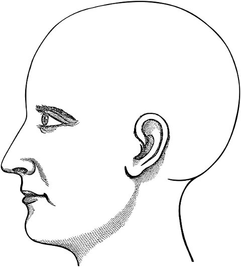 man-face-head-side-profile-7686112