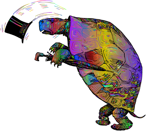 tortoise-top-hat-umbrella-turtle-6476505
