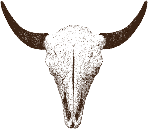 skull-buffalo-cutout-animal-mammal-7058355