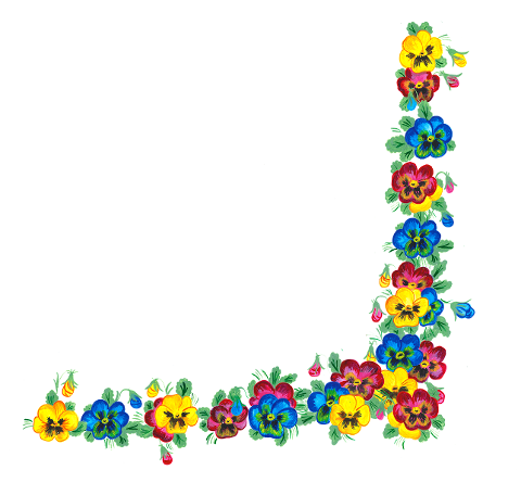 pansies-flowers-border-violets-6270843