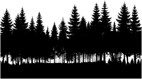 ai-generated-trees-forest-9159951