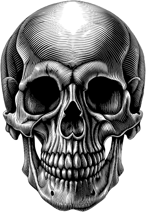 ai-generated-skull-head-skeleton-9094733