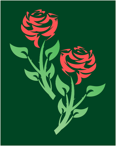 roses-flowers-florist-nature-7439702