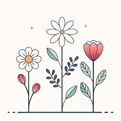 flowers-petals-minimal-nature-9183532