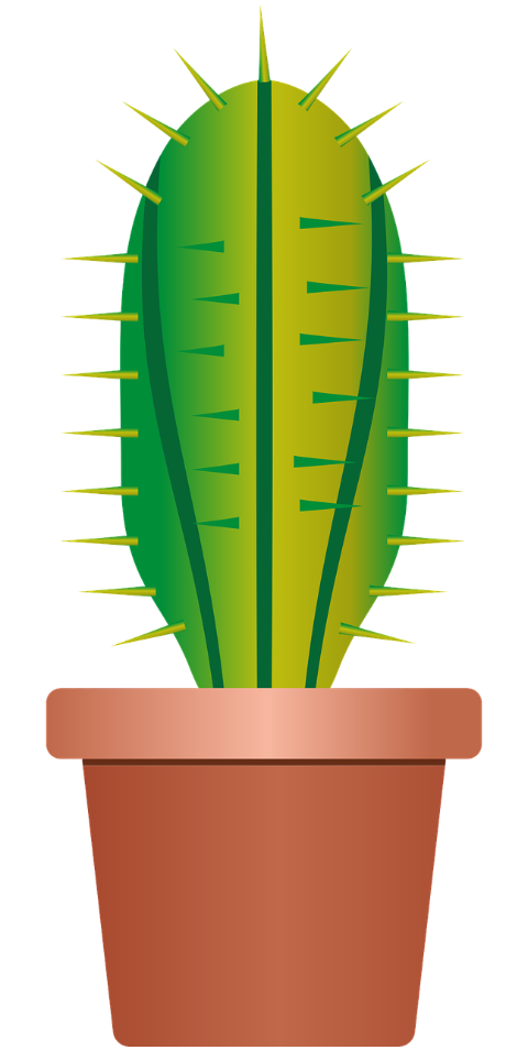 plant-cactus-nature-plant-pot-7030736
