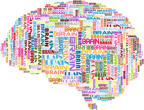 brain-mind-typography-head-8584269