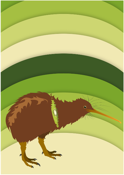 kiwi-bird-poster-animal-art-7097215