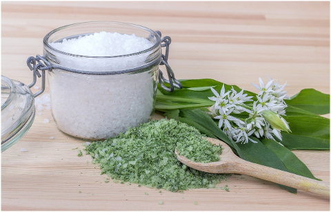 salt-wild-garlic-salt-seasoning-6060479