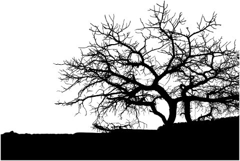 tree-landscape-silhouette-nature-8605251