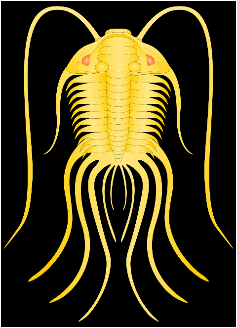 trilobite-fossil-cambrian-yellow-6839756