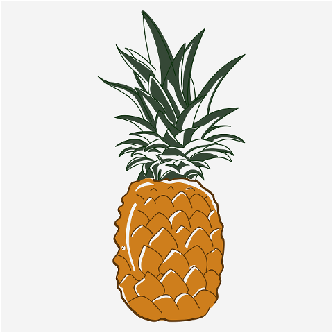 pineapple-fruit-food-organic-6294234