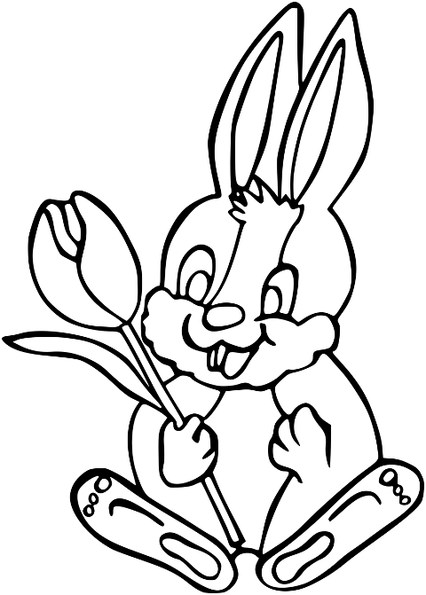 easter-bunny-tulip-flower-crocus-6122912