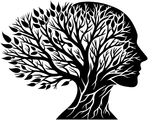 woman-brain-tree-branches-mind-8789489