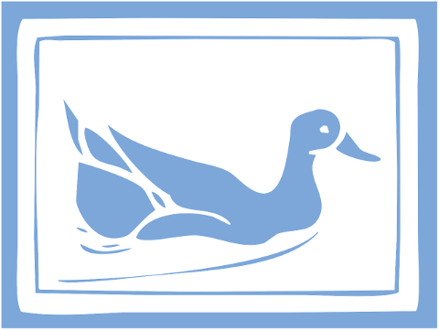 duck-waterfowl-waterbird-animal-6611777