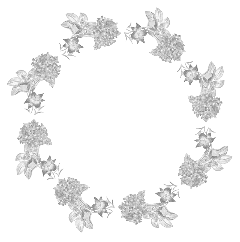 hydrangea-frame-flowers-nature-8487606