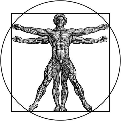 ai-generated-vitruvian-man-8781783