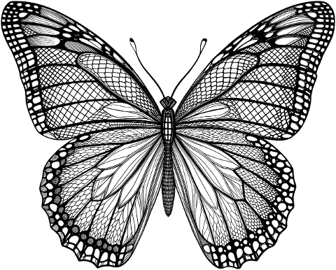 ai-generated-butterfly-insect-9574673
