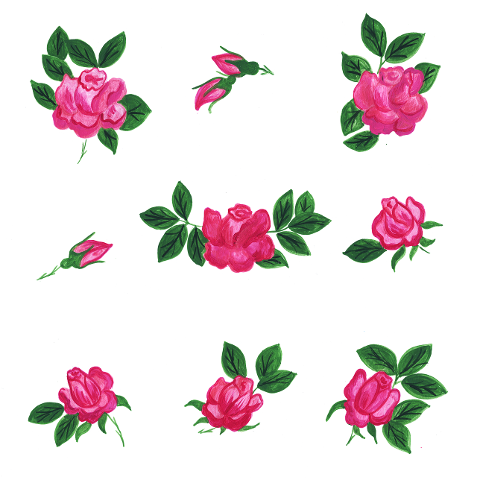rose-ruzicka-garden-florets-flower-6286079