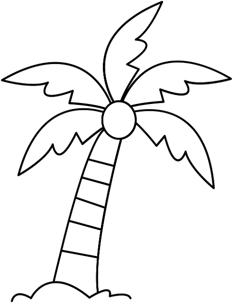 coconut-tree-palm-nature-tropical-10491367