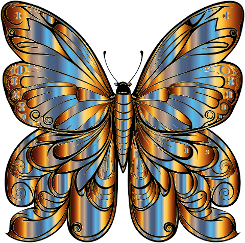butterfly-insect-wings-animal-8188386