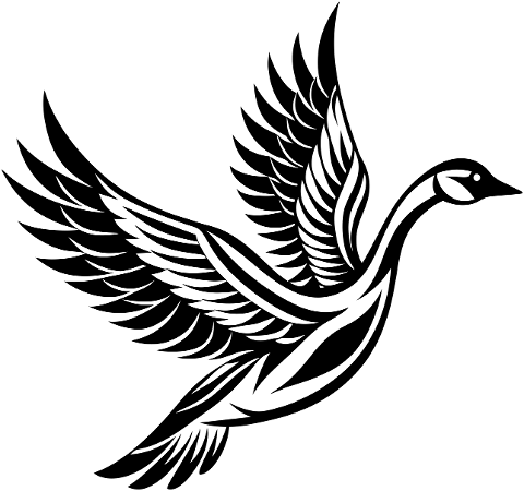 goose-bird-animal-ornithology-8799272