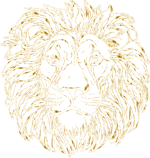 lion-feline-head-line-art-8313611