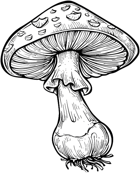 ai-generated-mushroom-toadstool-8895759