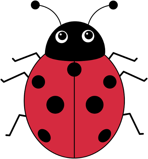insect-ladybug-entomology-bug-7052813