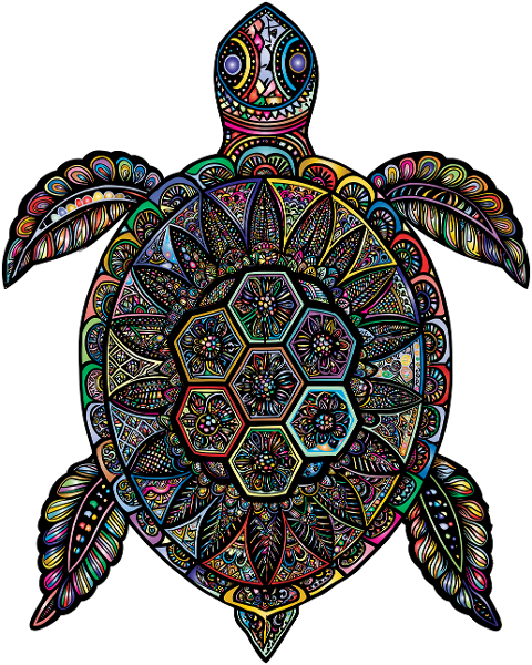 sea-turtle-animal-reptile-wildlife-9556830