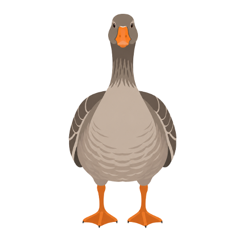 goose-wild-goose-waterfowl-nature-10365927