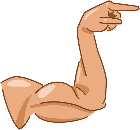arm-biceps-direction-muscle-finger-10293129