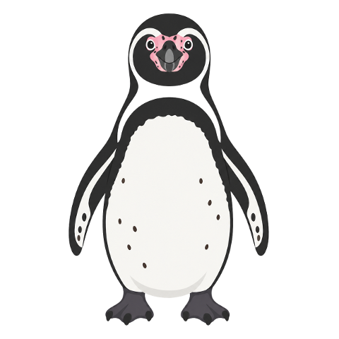 penguin-humboldt-penguin-animal-10362845
