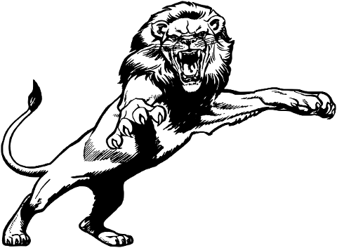 lion-cats-jungle-beast-wildlife-6716479
