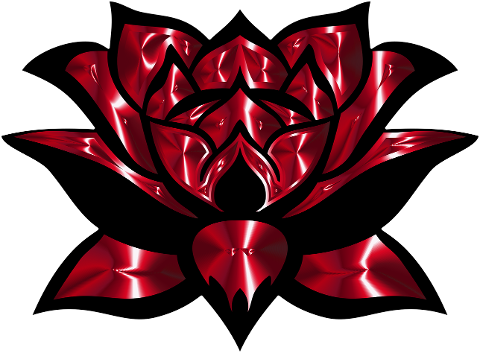 lotus-flower-red-plant-petals-6548939