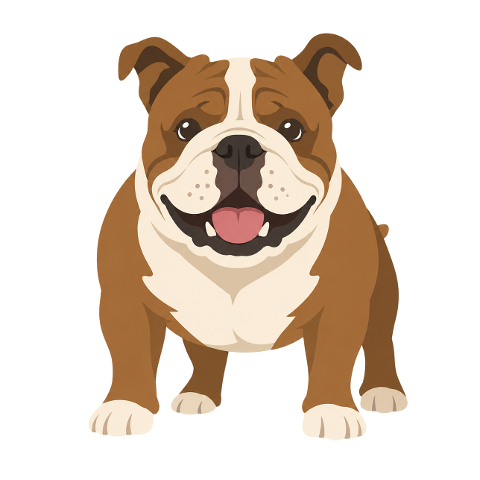 bulldog-dog-pet-puppy-10366974