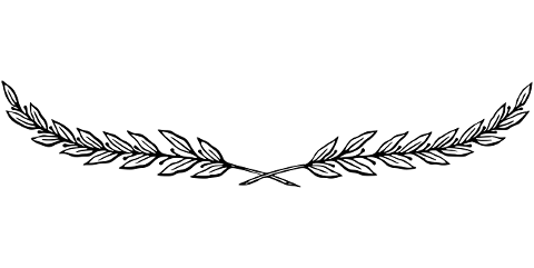 divider-separator-laurel-leaves-6752863