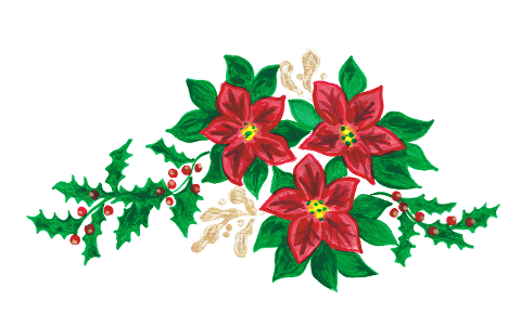 poinsettia-mistletoe-holly-6842754