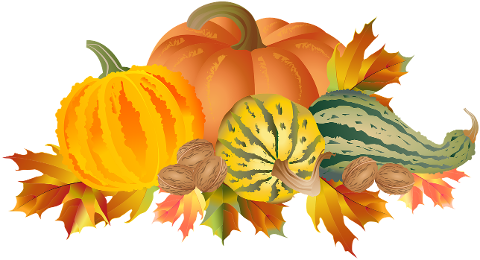 pumpkins-autumn-fall-decoration-6661033