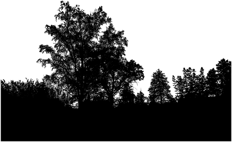 trees-forest-silhouette-landscape-7625907