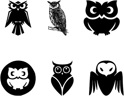 owl-line-art-owl-silhouettes-owl-6020464