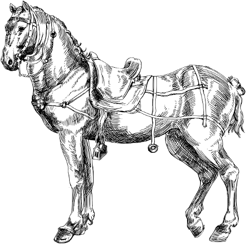 horse-equine-animal-line-art-7361696