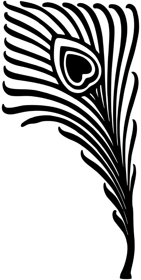 peacock-feather-art-nouveau-line-art-7460053